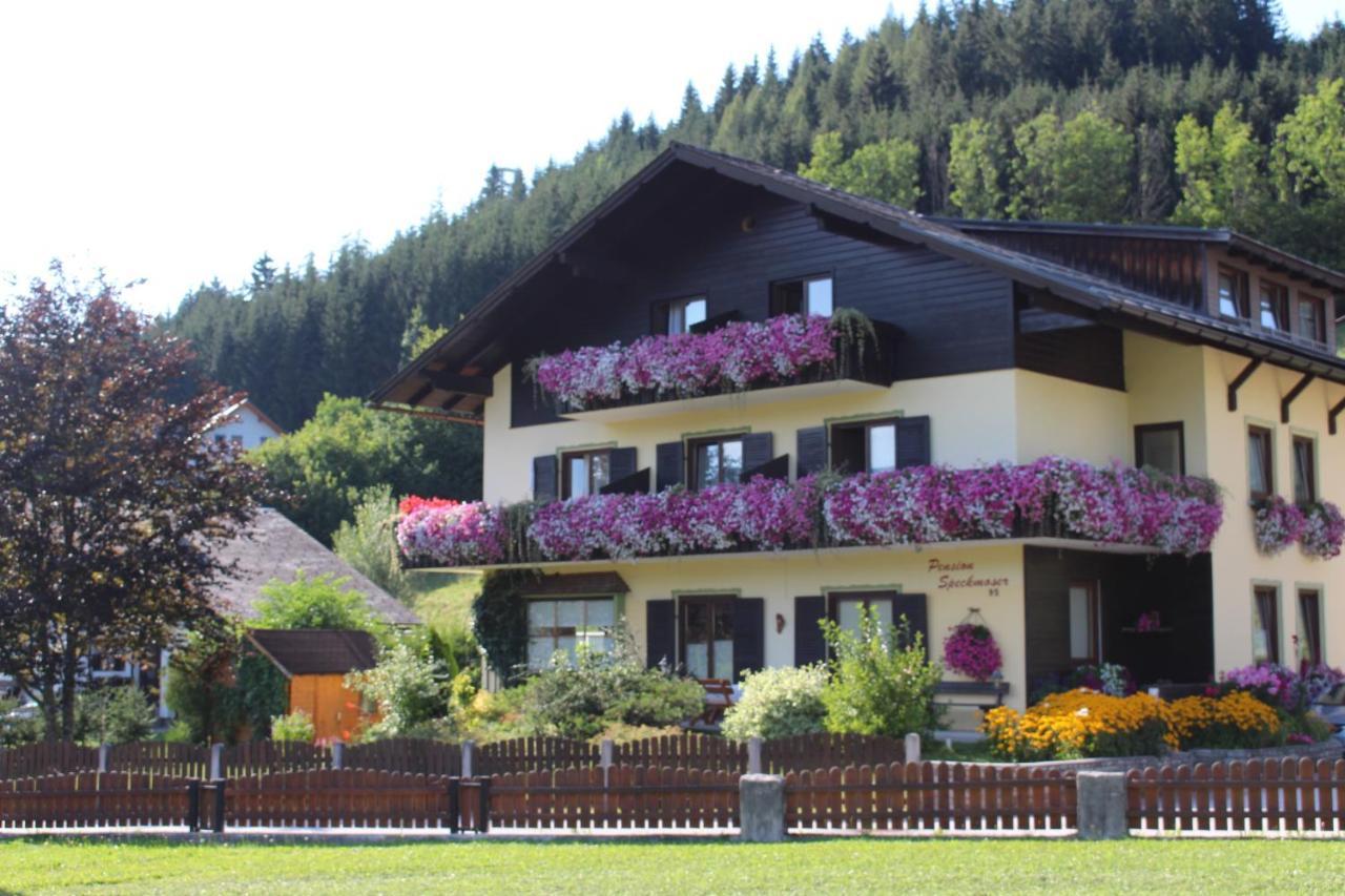 Pension Speckmoser Bad Mitterndorf Buitenkant foto